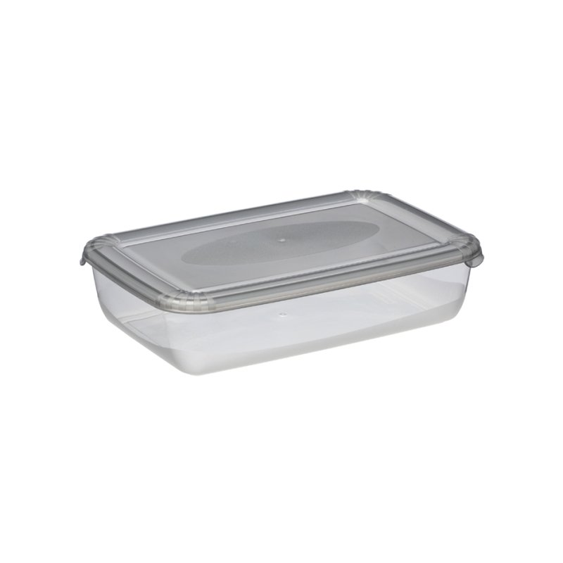 plast team boîte de congélation rectangulaire, 1,9 litre, gris, 255×167×62 mm